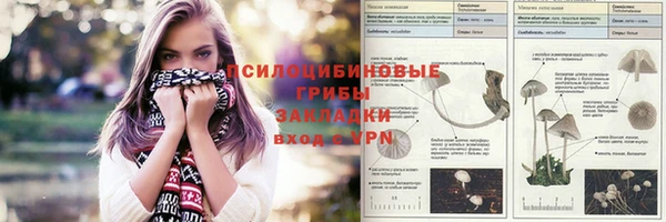 прущие грибы Арсеньев