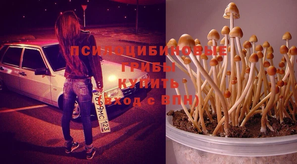 соль ск Алзамай