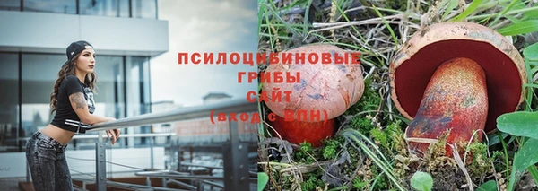 прущие грибы Арсеньев