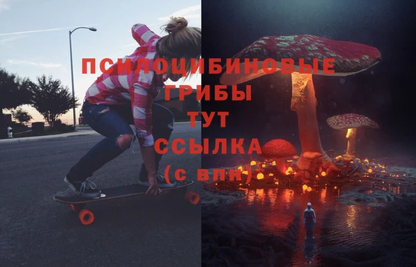 бошки Алексин