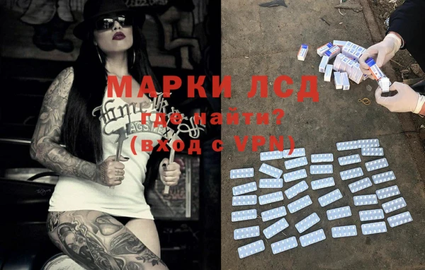 прущие грибы Арсеньев