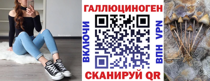 Псилоцибиновые грибы MAGIC MUSHROOMS  магазин продажи   Баймак 